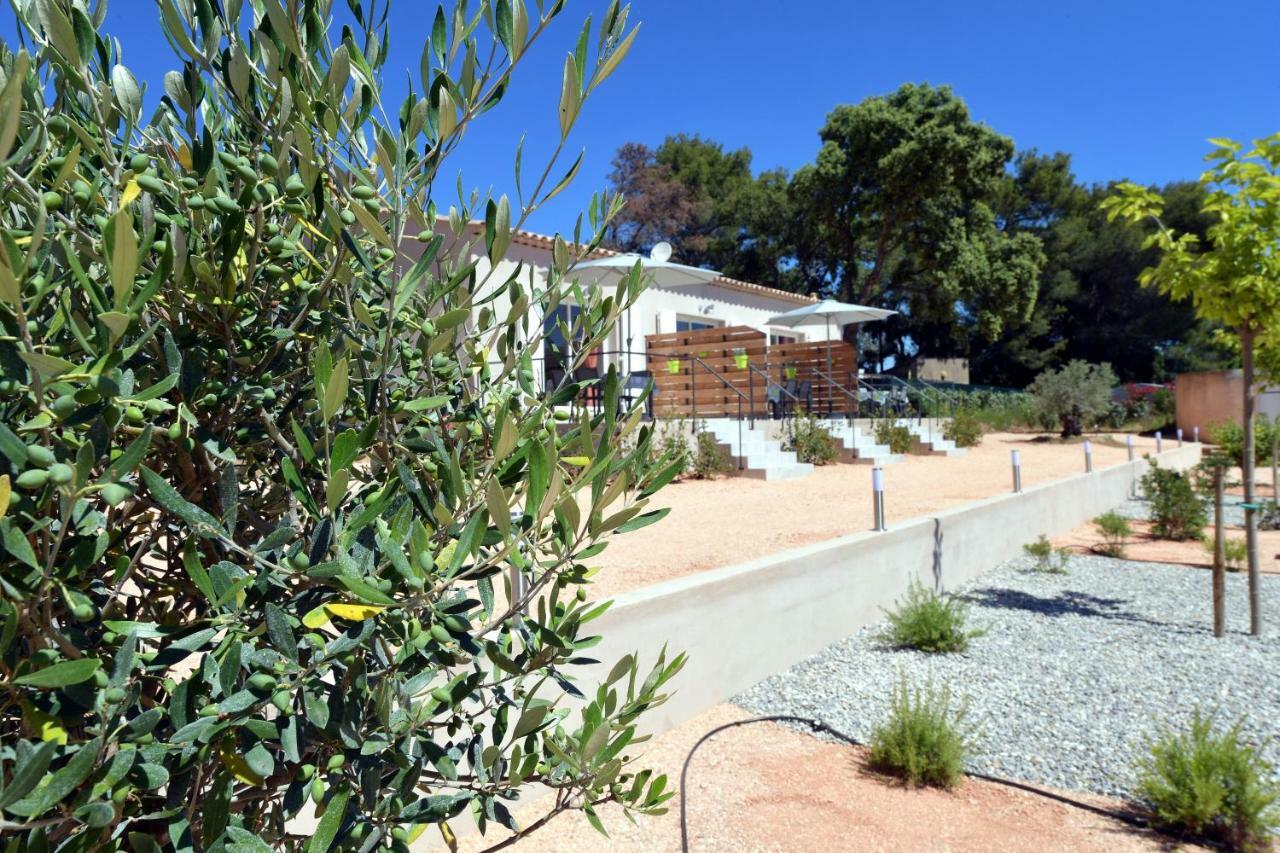 Sous Les Pins Gites Et Chambres D'Hotes La Londe-les-Maures Exterior photo